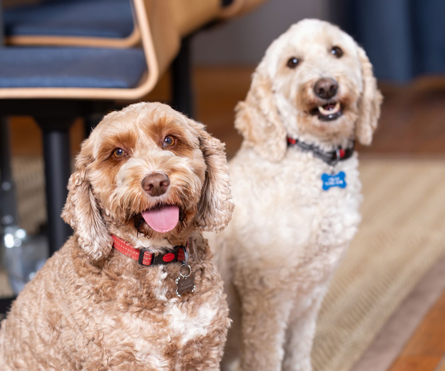 Gardner Systems - Project